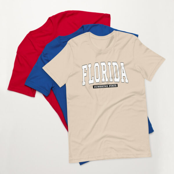 Florida T-Shirt, The Sunshine State of Florida Tee